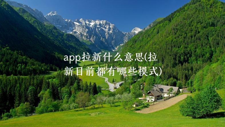 app拉新什么意思(拉新目前都有哪些模式)