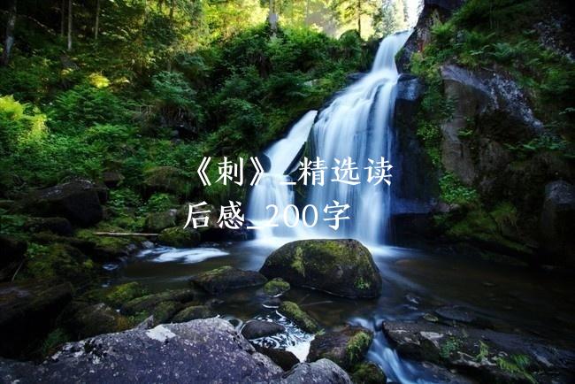 《刺》_精选读后感_200字