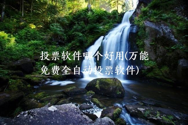 投票软件哪个好用(万能免费全自动投票软件)