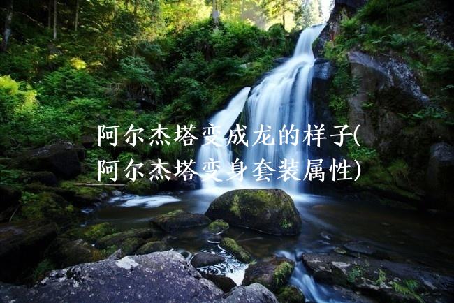 阿尔杰塔变成龙的样子(阿尔杰塔变身套装属性)