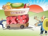 上海市农村集体资产监督管理条例修正